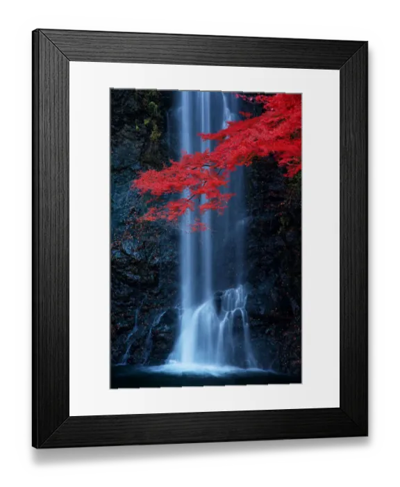 Framed Print : Red maple at Minoo Waterfall Framed Print : Red maple at Minoo Waterfall