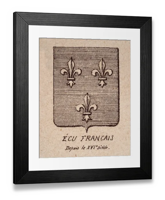 Framed Print : Escutcheon, or heraldic shield, 16th Century French coat of arms, fleur de lis on striped background Framed Print : Escutcheon, or heraldic shield, 16th Century French coat of arms, fleur de lis on striped background