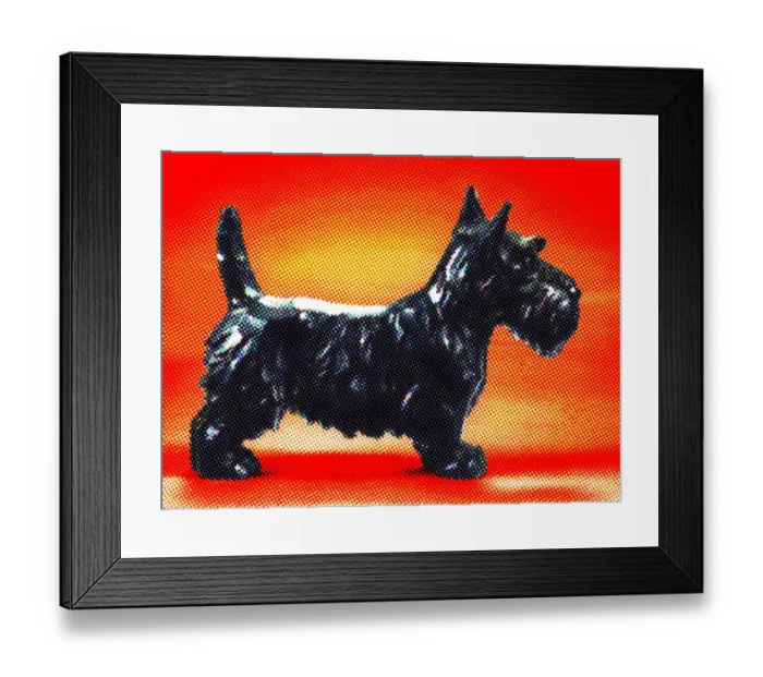Framed Print : Scottie Dog