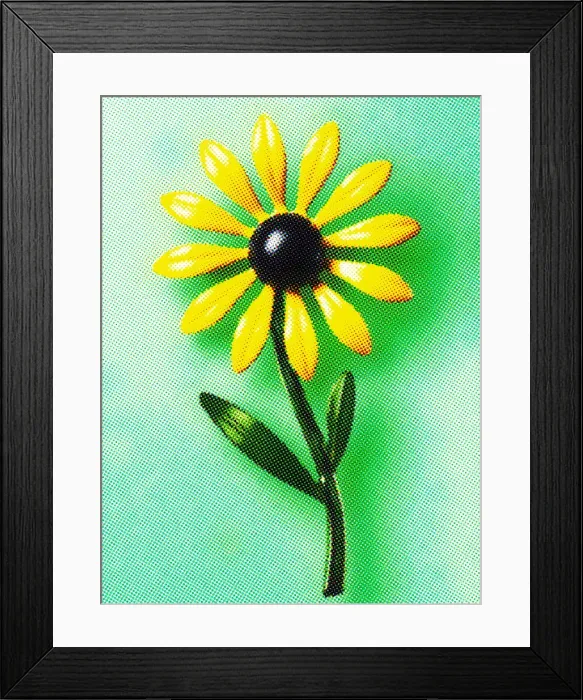 Framed Print : Yellow and Black Flower Framed Print : Yellow and Black Flower