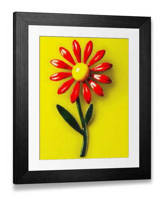 Framed Print : Red and Yellow Flower Framed Print : Red and Yellow Flower