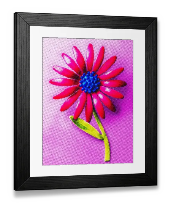 Framed Print : Pink and Blue Flower Framed Print : Pink and Blue Flower