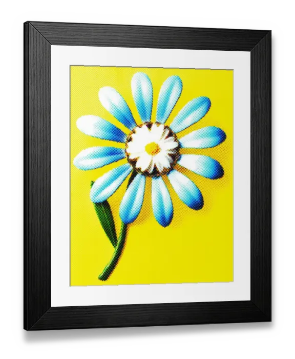 Framed Print : Blue and White Flower Framed Print : Blue and White Flower