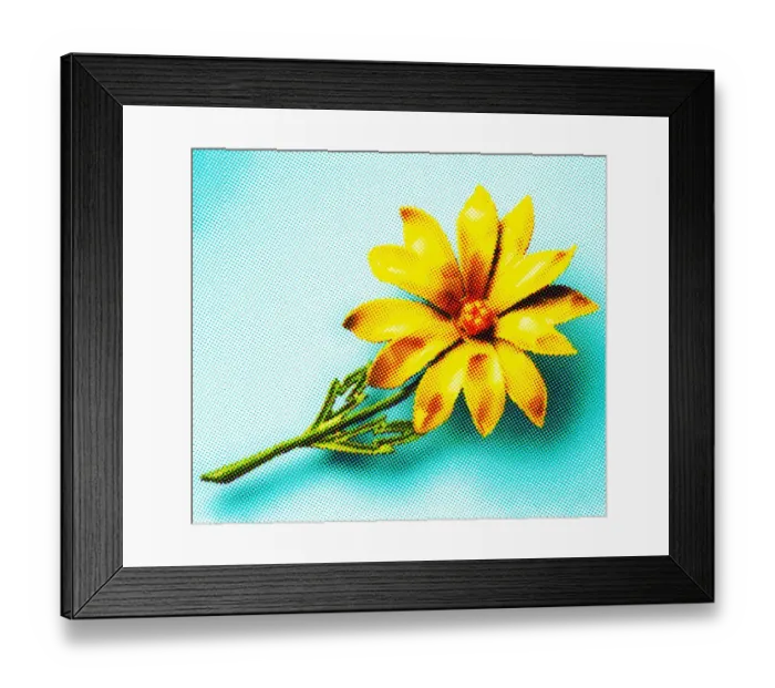 Framed Print : Flower Framed Print : Flower