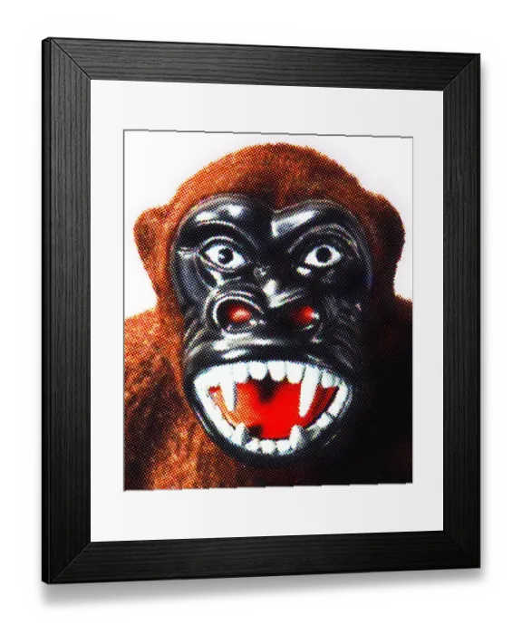 Framed Print : Gorilla Close Up Framed Print : Gorilla Close Up