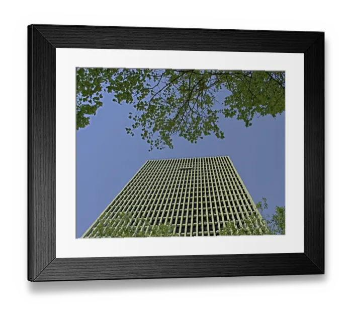 Framed Print : Modernist Design Among Natures Pattern Framed Print : Modernist Design Among Natures Pattern
