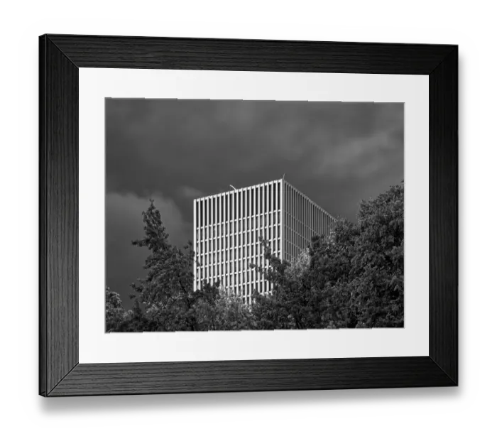 Framed Print : Black And White Grid Highlights Framed Print : Black And White Grid Highlights