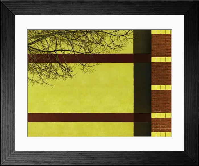 Framed Print : Branch By Brick Framed Print : Branch By Brick