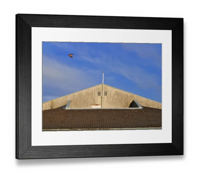 Framed Print : Abandoned Beach Building Framed Print : Abandoned Beach Building