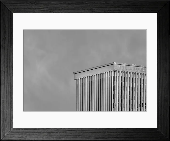Framed Print : Gray Interest Framed Print : Gray Interest