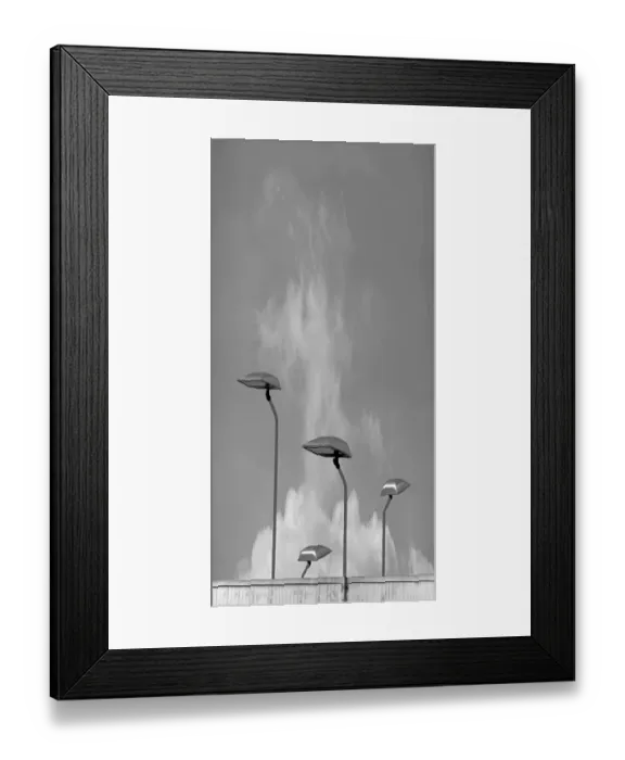 Framed Print : Highlights Framed Print : Highlights