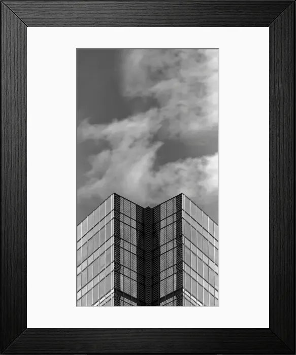 Framed Print : Monochrome Double Framed Print : Monochrome Double