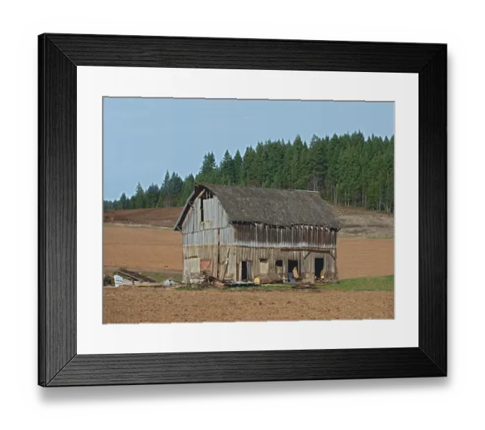 Framed Print : Old Barn. A color photograph of an old wooden barn in an agricultural field Framed Print : Old Barn. A color photograph of an old wooden barn in an agricultural field