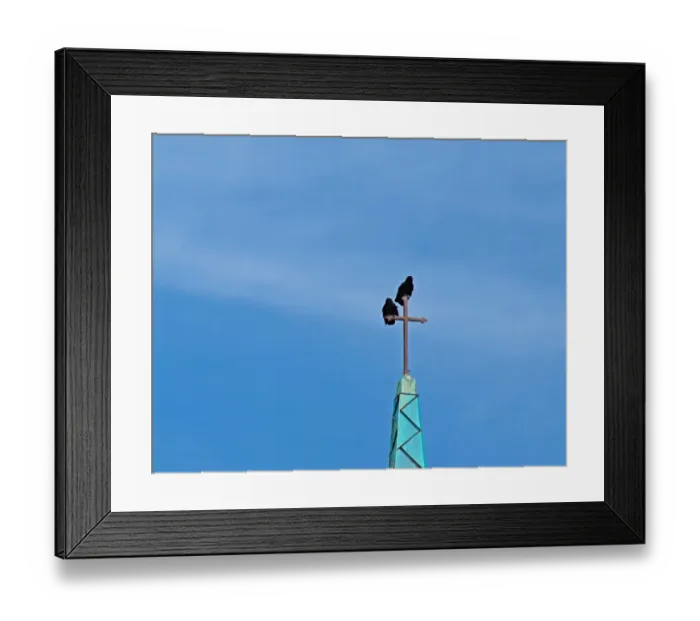 Framed Print : Religion and The Crow Framed Print : Religion and The Crow