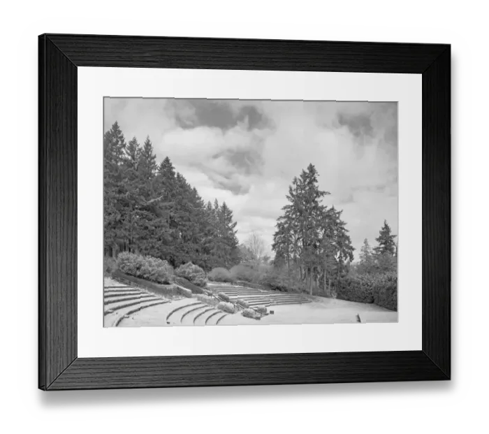 Framed Print : Monochrome Winter Framed Print : Monochrome Winter