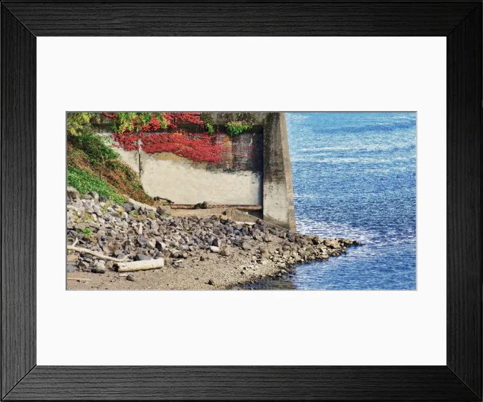 Framed Print : Portland Waterfront Framed Print : Portland Waterfront