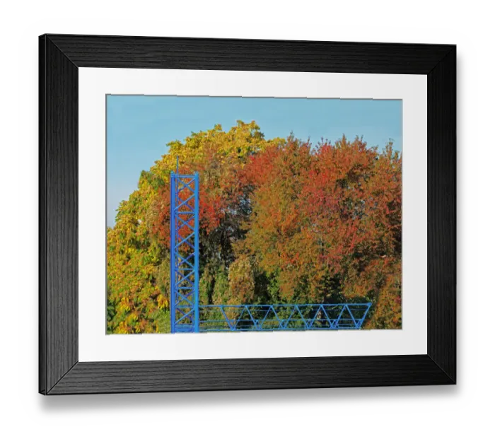 Framed Print : Autumn Scaffolding Framed Print : Autumn Scaffolding