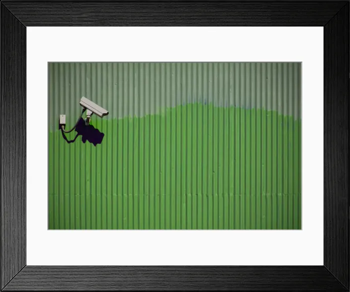 Framed Print : Green Vigilance Framed Print : Green Vigilance