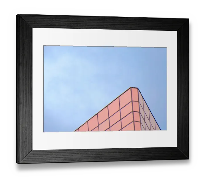 Framed Print : Copper Head Framed Print : Copper Head