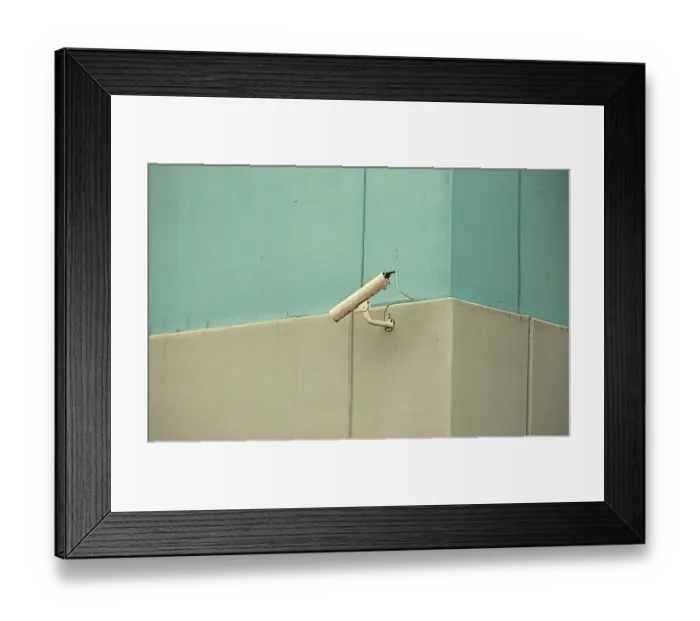 Framed Print : Antique Vigilance Framed Print : Antique Vigilance
