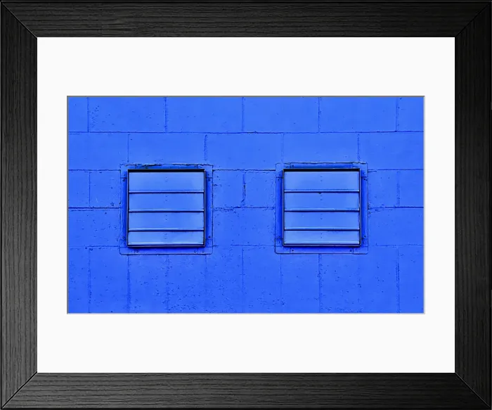 Framed Print : Two Blue Flues Framed Print : Two Blue Flues