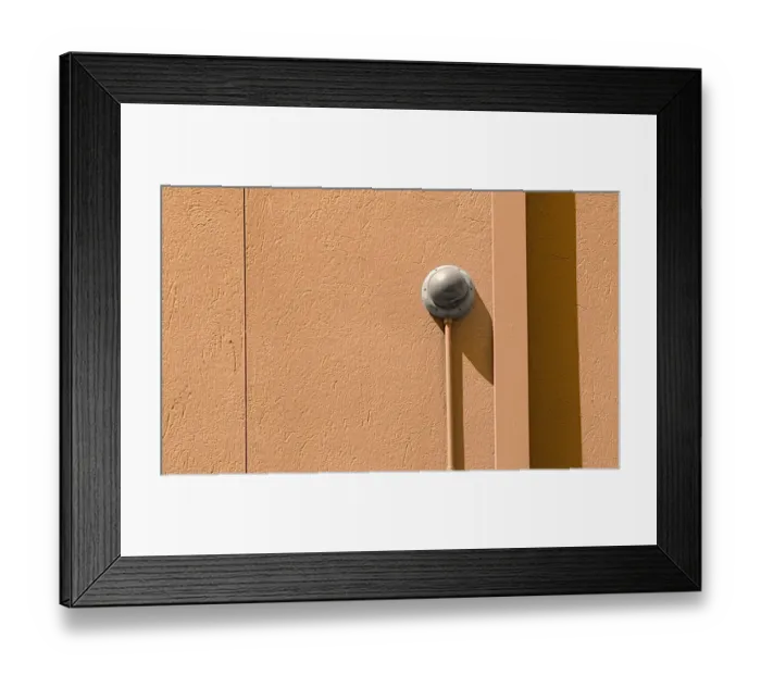 Framed Print : Orange Roughy Framed Print : Orange Roughy
