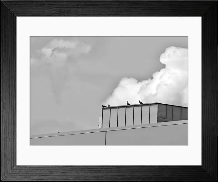 Framed Print : Cloud Roost Framed Print : Cloud Roost