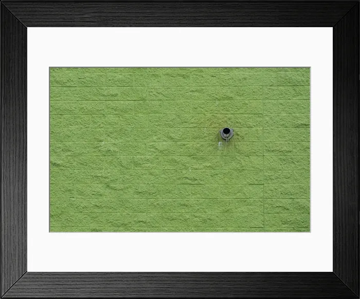 Framed Print : Green Wall Framed Print : Green Wall