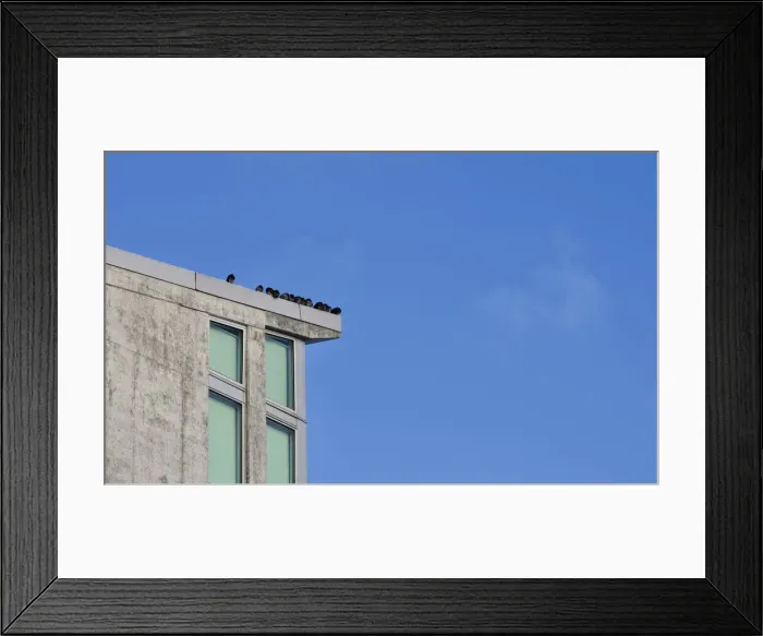 Framed Print : Rookery. A commercial building in downtown Portland