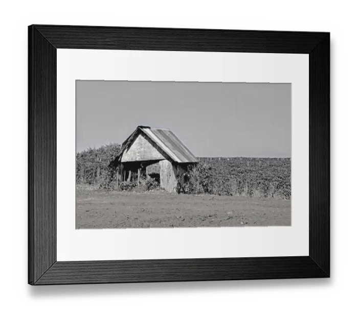 Framed Print : An Abandoned Shed Near Mount Angel, Oregon