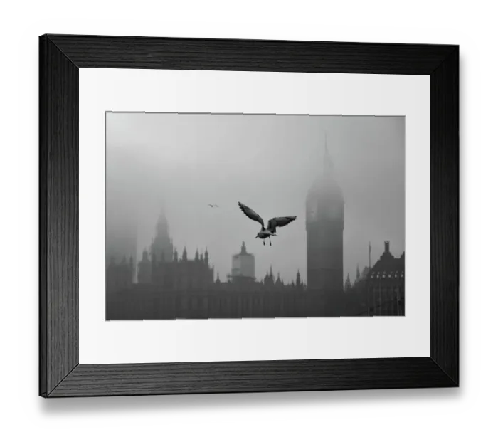 Framed Print : Seagull Over Westminster Framed Print : Seagull Over Westminster