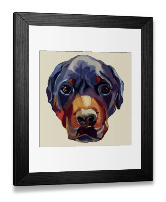 Framed Print : Rottweiler Head Illustration Framed Print : Rottweiler Head Illustration