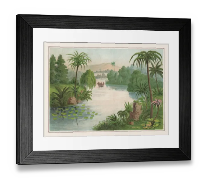 Framed Print : Tropical planting, chromolithograph, published in 1873 Framed Print : Tropical planting, chromolithograph, published in 1873