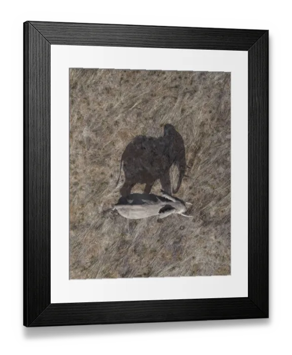 Framed Print : Bull Elephant and its shadow Framed Print : Bull Elephant and its shadow