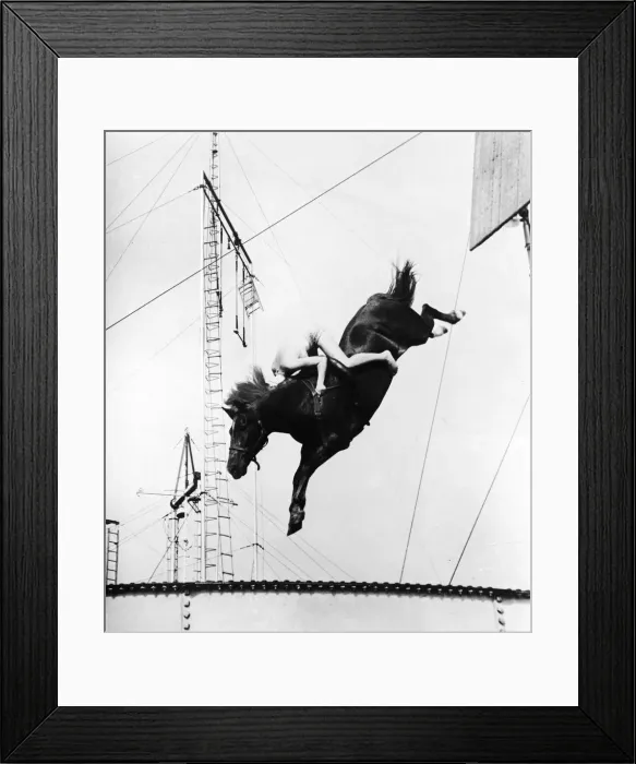Framed Print : Circus Performer Diving On Horseback Framed Print : Circus Performer Diving On Horseback
