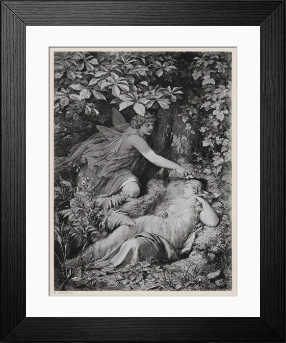 Framed Print : A Midsummer Nights Dream by William Shakespeare, published in 1886 Framed Print : A Midsummer Nights Dream by William Shakespeare, published in 1886