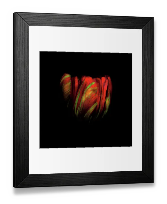 Framed Print : Tulip Flowers Abstract Framed Print : Tulip Flowers Abstract