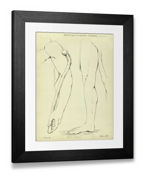Framed Print : Sketching and drawing the human arm and leg, Victorian art figure drawing copies 19th Century Framed Print : Sketching and drawing the human arm and leg, Victorian art figure drawing copies 19th Century