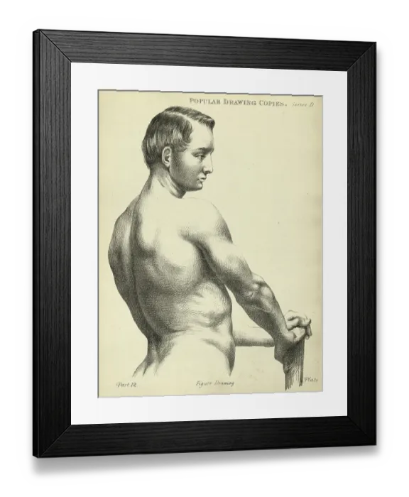 Framed Print : Sketching, drawing the human back, young man, life study, Victorian art figure drawing copies 19th Century Framed Print : Sketching, drawing the human back, young man, life study, Victorian art figure drawing copies 19th Century