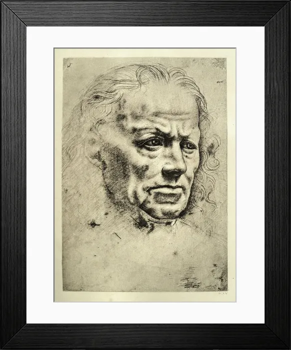 Framed Print : Head of an old man by Leonardo da Vinci, Early renaissance art Framed Print : Head of an old man by Leonardo da Vinci, Early renaissance art