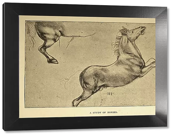 Vintage illustration, After the sketch by Leonardo da Vinci, a study of horses, Early renaissance art