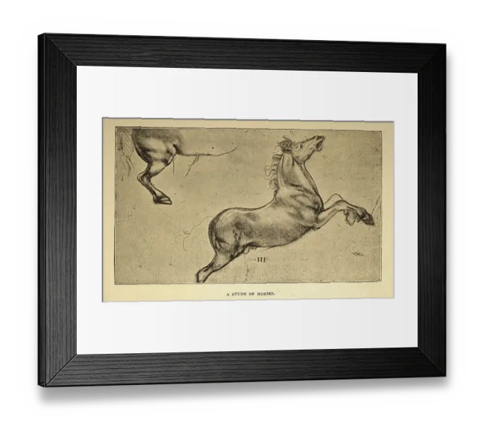 Framed Print : Vintage illustration, After the sketch by Leonardo da Vinci, a study of horses, Early renaissance art Framed Print : Vintage illustration, After the sketch by Leonardo da Vinci, a study of horses, Early renaissance art