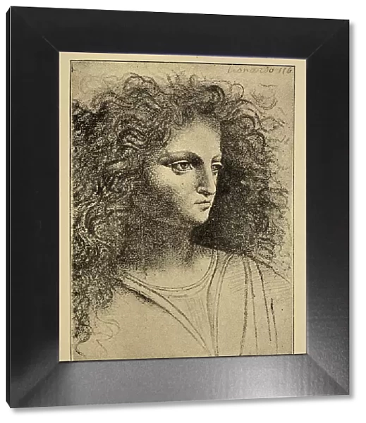 Vintage illustration, After the sketch by Leonardo da Vinci, Head of a youth, Early renaissance art