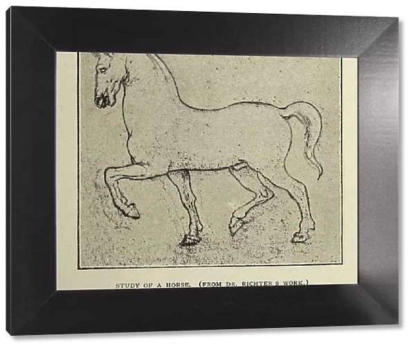 Vintage illustration, After the sketch by Leonardo da Vinci, Study of a horse, Early renaissance art
