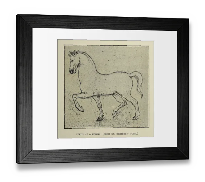 Framed Print : Vintage illustration, After the sketch by Leonardo da Vinci, Study of a horse, Early renaissance art Framed Print : Vintage illustration, After the sketch by Leonardo da Vinci, Study of a horse, Early renaissance art