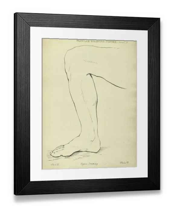 Framed Print : Sketching human leg, Victorian art figure drawing copies 19th Century Framed Print : Sketching human leg, Victorian art figure drawing copies 19th Century