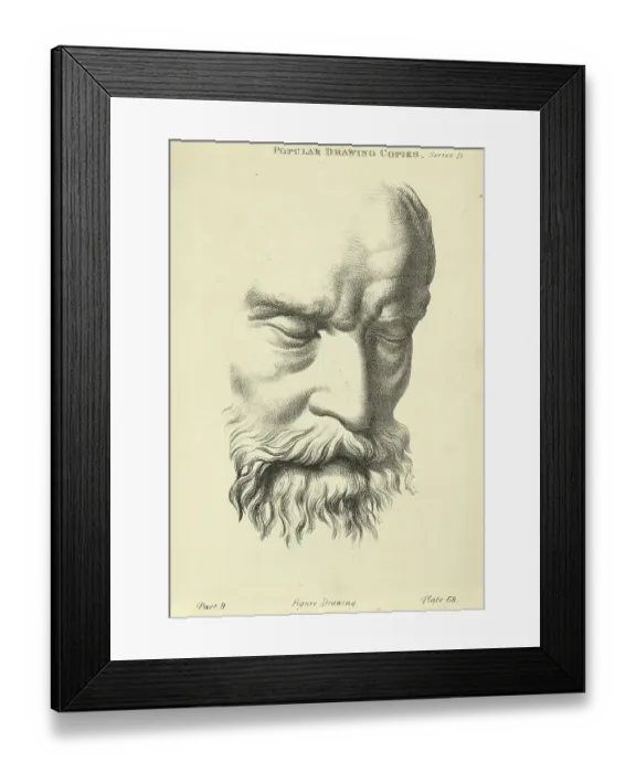 Framed Print : Sketching human face, detail of mature man's face, eyes closed, beard, Victorian art figure drawing copies 19th Century Framed Print : Sketching human face, detail of mature man's face, eyes closed, beard, Victorian art figure drawing copies 19th Century