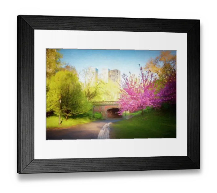 Framed Print : Cherry Blossoms, Spring, Bridge and Central Park, NYC Framed Print : Cherry Blossoms, Spring, Bridge and Central Park, NYC