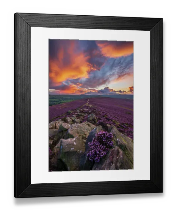 Framed Print : Winhill purple landscape at sunset, Derbyshire, Peak District. UK