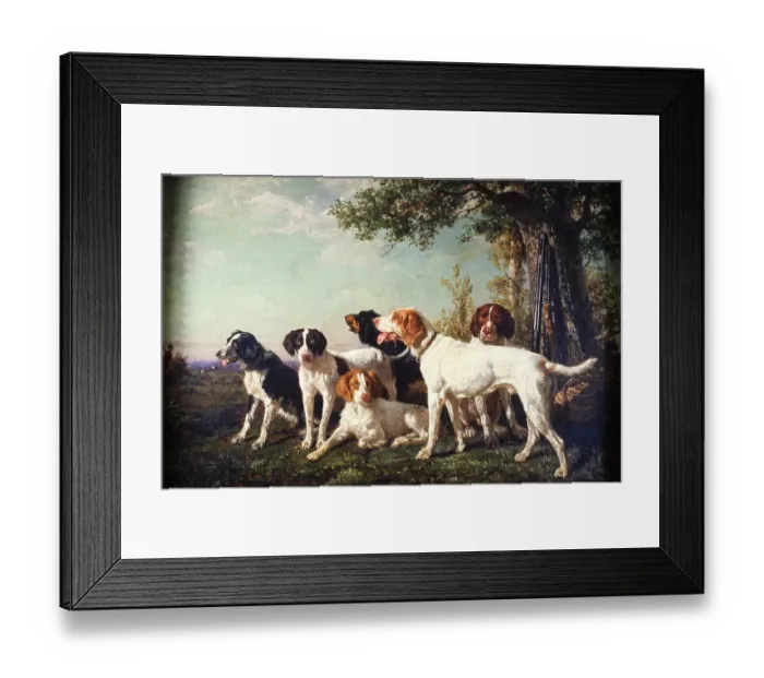 Framed Print : Pack of Hounds at Rest Framed Print : Pack of Hounds at Rest